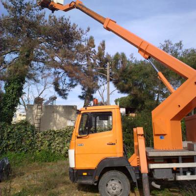 Services2a Kladema Dentron Big